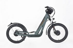 LOHAS-Electric Scooter Charging Guide