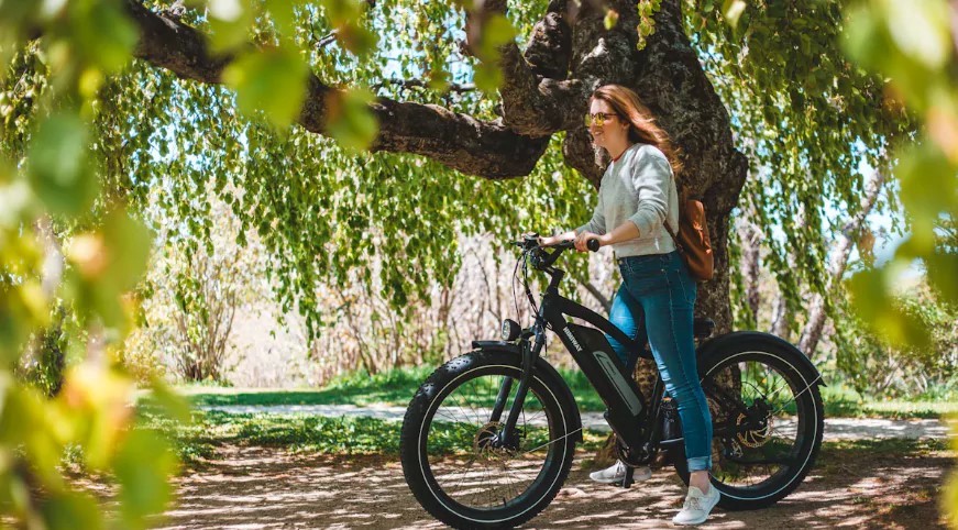 LOHAS-How Fast Can You Go on an Ebike Exploring Speed Limits and Safety