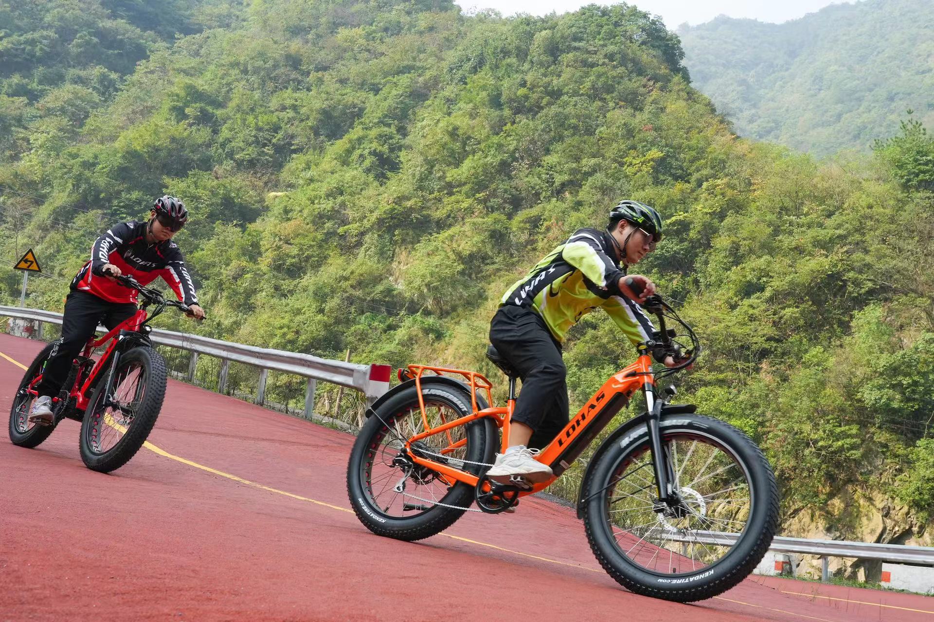 LOHAS-Electric Bike Basics Is Constant Pedaling Necessary for Operation