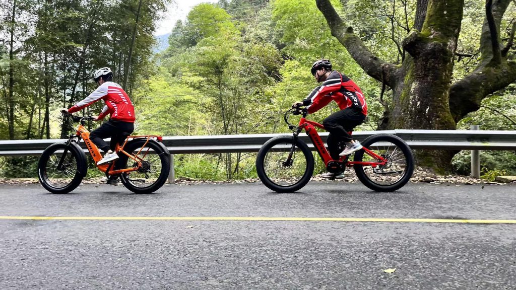 LOHAS-Ebikes Transforming Transportation for a Healthier Planet