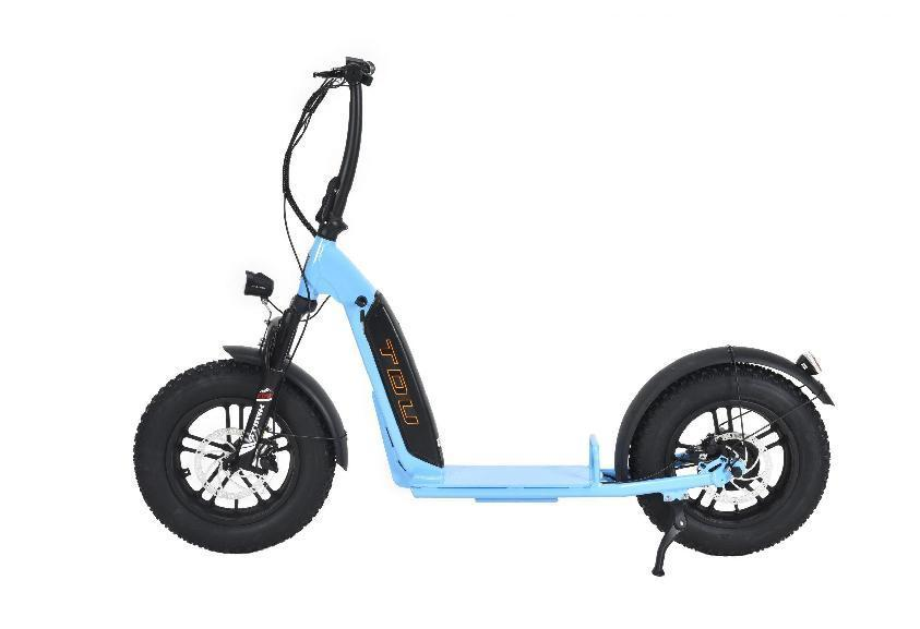 LOHAS-Electric Scooter Battery Lifespan: Effects of Fast vs. Slow Charging