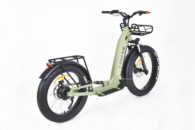 LOHAS-Electric Scooter Battery Lifespan: Effects of Fast vs. Slow Charging