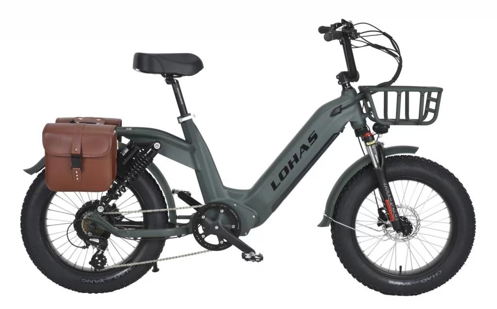 LOHAS-Mastering All Terrains: A Guide to Electric Bike Versatility