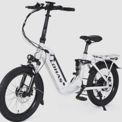 LOHAS-How E-Bikes Are Changing the Landscape of Personal Transportation