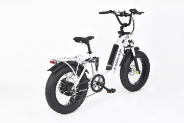 LOHAS-The Evolution of E-Bikes: How Did We Get Here