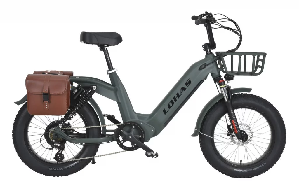 LOHAS-The Environmental Impact of E-Bikes: Pedaling towards a Greener Future