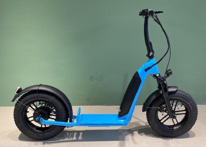 electric scooter