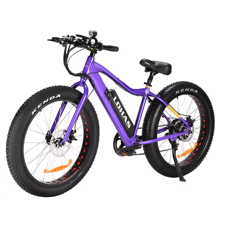 E-Bikes