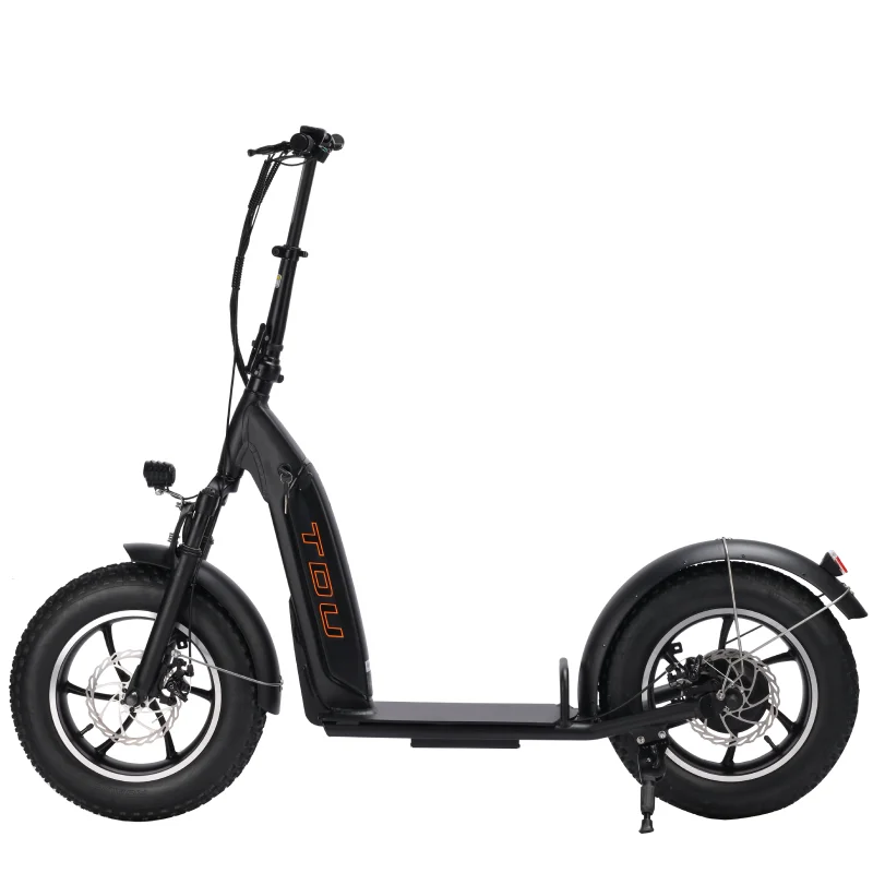 Electric Scooters