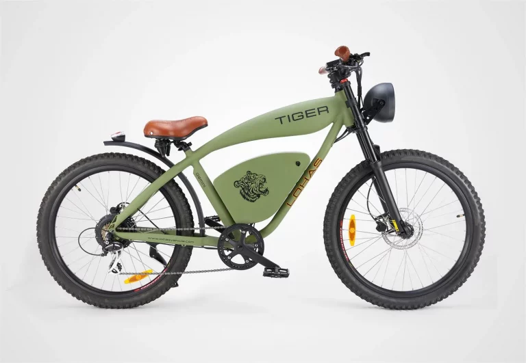 Electric Bike