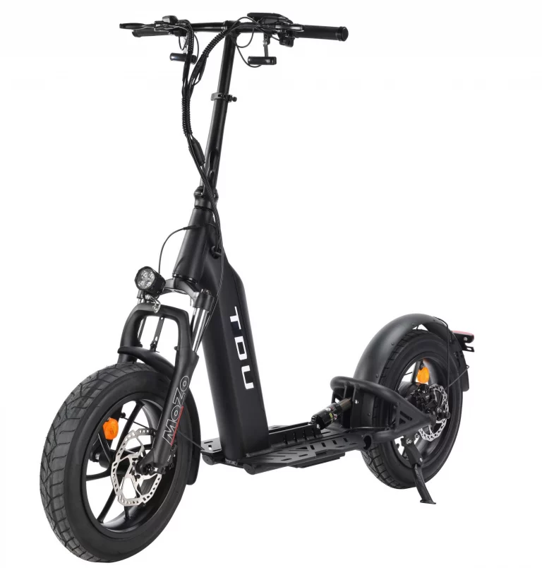 Electric Scooters