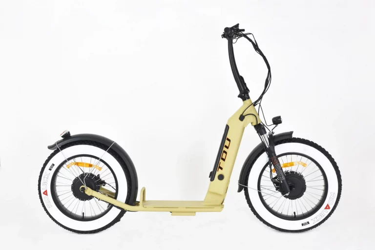 electric scooter 2