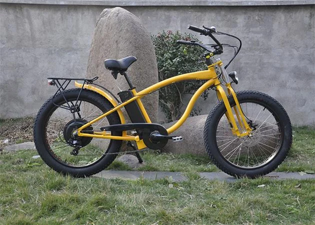 Electric Bike