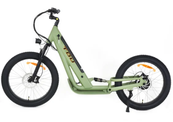 Electric Scooter (1)